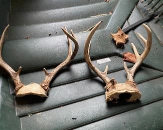 Deer racks 
