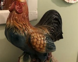 Rooster