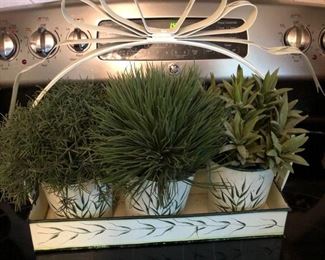 Faux Herbs (Not for Human Consumption :))