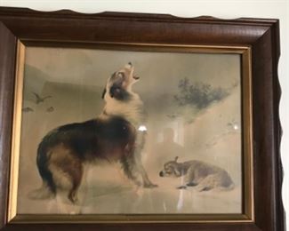 Collie and Sheep vintage print 