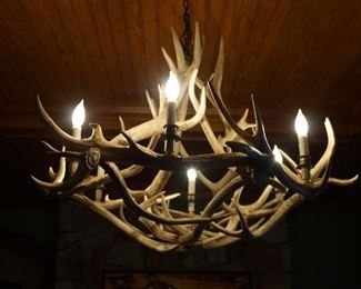 Antler Chandelier  