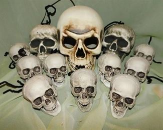 A Dozen Skulls (12 ea)