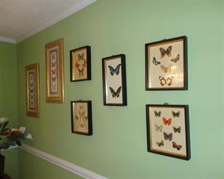 These are prints (no real butterflies were used in these pictures)