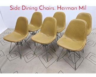 Lot 1300 Set 6 Eames Eiffel Tower Side Dining Chairs. Herman Mil