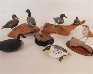Many assorted decoys