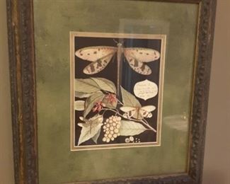 Botanical framed print