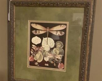 Botanical framed print
