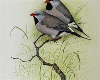 Eric Peake Wildlife Watercolor Painting Birds