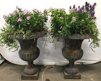 Pair Iron Urn Shaped Planters, 30 in HT