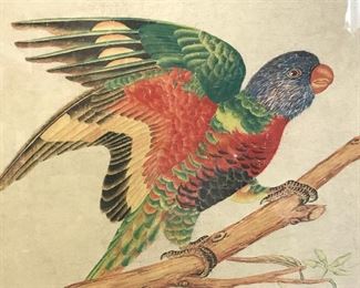 Signed Chinese Watercolor Parrot