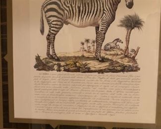 Bombay Style Framed Zebra Print Art