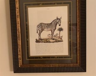 Bombay Style Framed Zebra Print Art