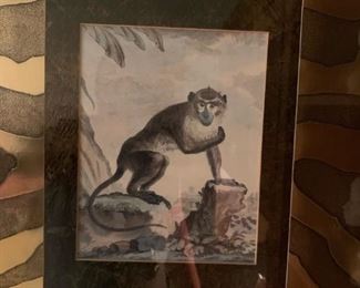 Bombay Style Framed Monkey Print with Zebra Pattern Matting