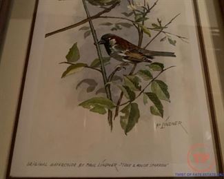 Original Watercolor "Tree and House Sparrow" by PAUL LINDNER