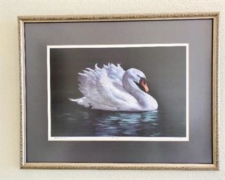 Mute Swan by Stuart Seal Armstrong, San Antonio artist, signed and numbered 