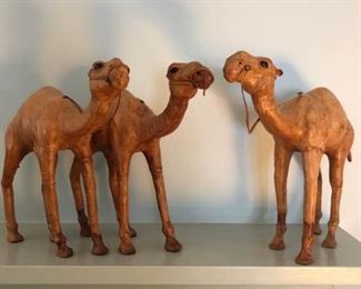 Leather Camels