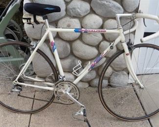 Sold to family member.Specialized Allex bike-needs work