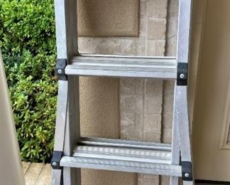 Multi-purpose ladder