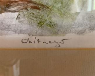 33. Lithograph 1/5 Signed Whitneys (11" x 14")