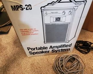 Portable amplified speaker system with 2 microphones
