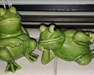 Frog S & P