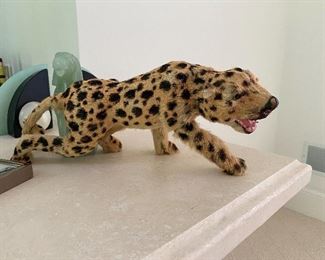 Real skin on this Leopard