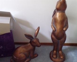 love these large bunnies
