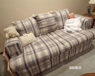 sleeper sofa