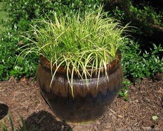 Glazed Ceramic Flower Pot with Plant Medium