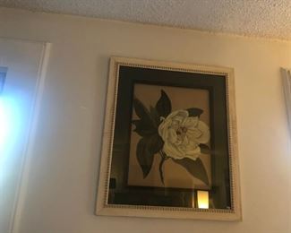 Southern Gladiolus naturally