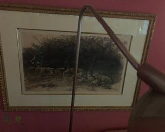 An old etching of sheep