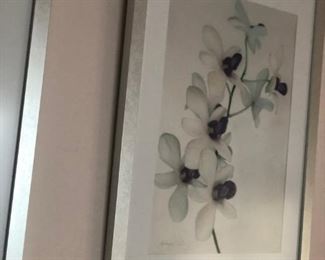 The other of the pair