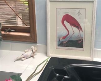 A beautifully framed bird from an original folio of birds