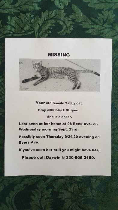 A FRIEND OF OUR SALES,  PLEASE CALL DARWIN IF YOU SEE HIS LITTLE GIRL!