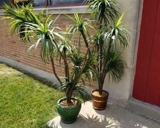 (1) Potted Artificial Palm Trees $50 (1 sold Brown Planter (1) Green Planter still Available)