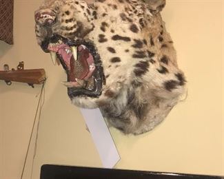 Items Located In Living Room ~ 94 Year Collection Of Antiques