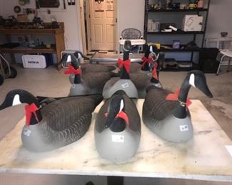 Items Located in The Garage