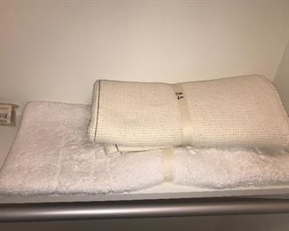 Items Located In The Lower Level Closet