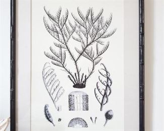 sea life framed Navy art 299 each 2 avail 