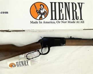 VIEW 2 CLOSEUP HENRY 22LR 