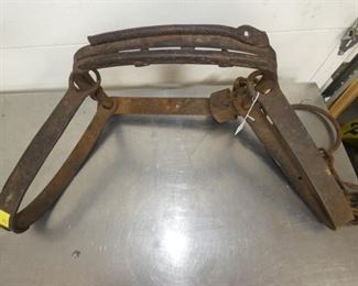 VIEW 2 LRG. BEAR TRAP 