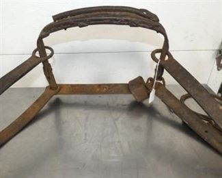 38X10 ORG. EARLY BEAR TRAP 