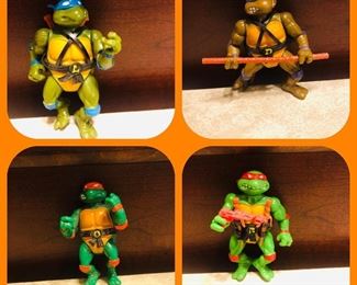 Ninja turtle
