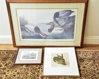 56. Three 3 Framed Animal Prints