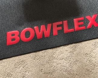 Bow Flex extreme