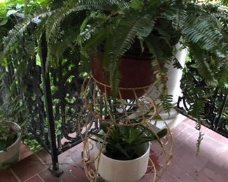 WROUGHT IRON PLANT STAND, PLANTS