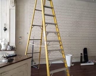 Werner we foot ladder