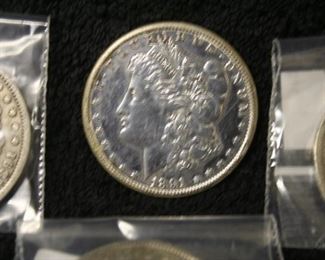 Morgan Silver Dollars