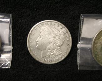 Morgan Silver Dollars