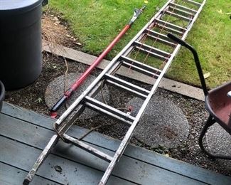 ladder and extended pruner 